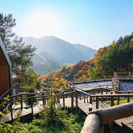 Qazaq Auyl Eco Hotel アルマトイ エクステリア 写真