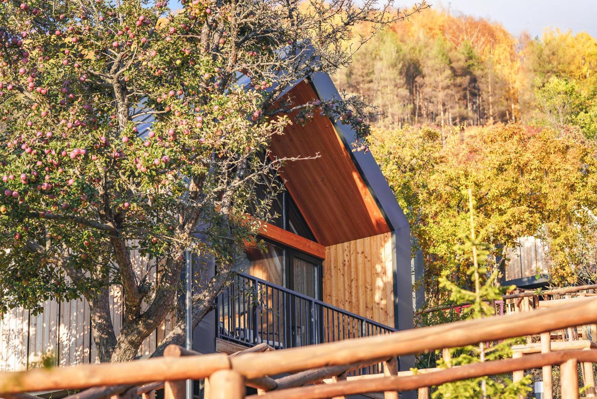 Qazaq Auyl Eco Hotel アルマトイ エクステリア 写真