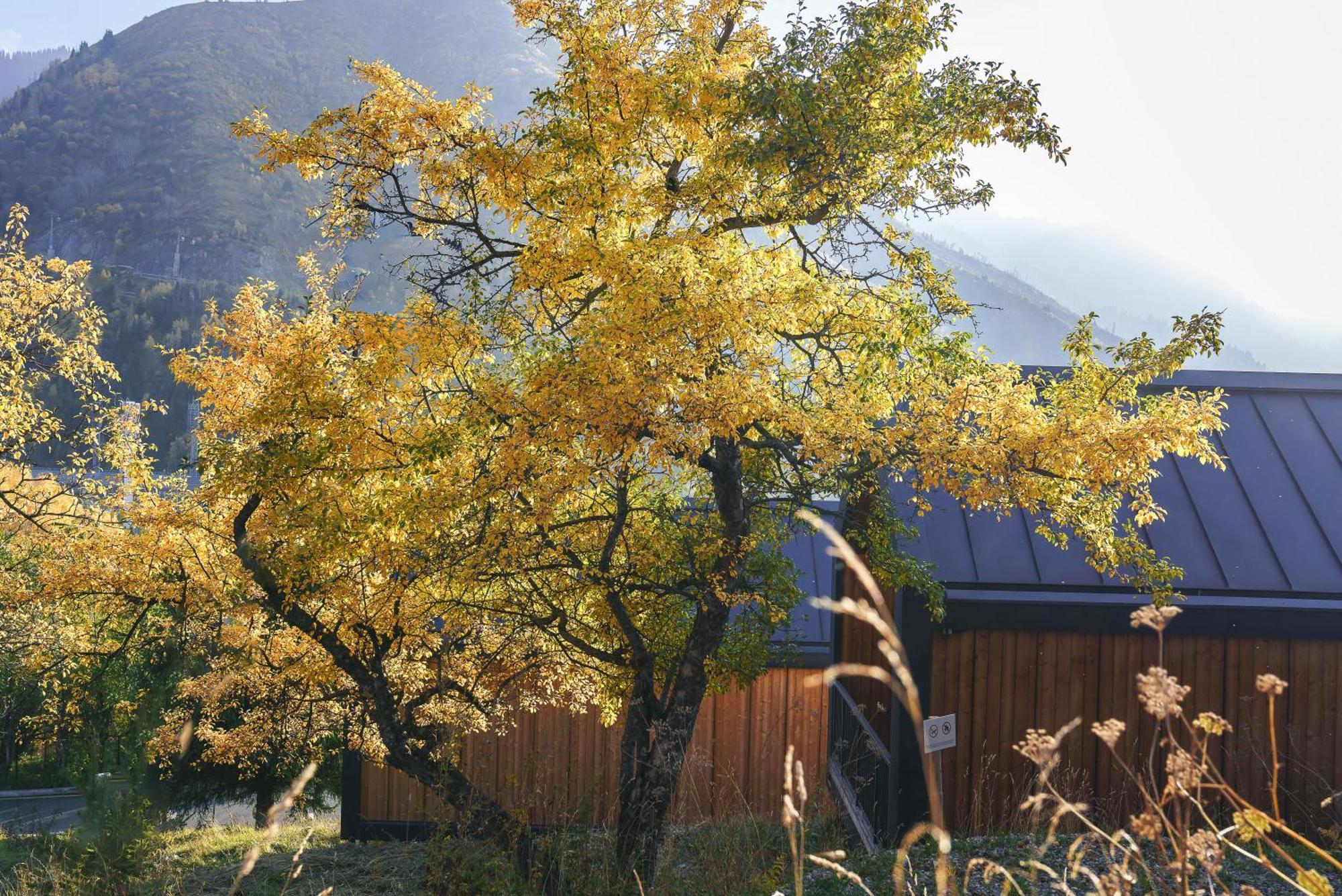 Qazaq Auyl Eco Hotel アルマトイ エクステリア 写真
